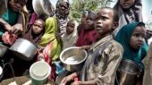 Address Hunger in Africa