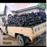 Tinubu supervision of Terrorism and Genocidal attacks against local farmers in Yelewata community in Benue State, Nigeria.