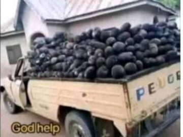 Tinubu supervision of Terrorism and Genocidal attacks against local farmers in Yelewata community in Benue State, Nigeria.