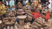 Petition Against Rising Food Prices and Growing Hunger in Nigeria