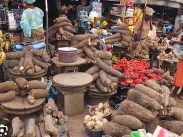 Petition Against Rising Food Prices and Growing Hunger in Nigeria