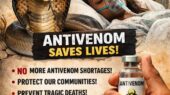 Justice for Ifunanya Nwagene, Ensure Life-Saving Antivenom Is Available in Every Nigerian Hospital