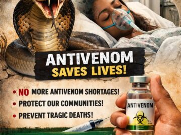 Justice for Ifunanya Nwagene, Ensure Life-Saving Antivenom Is Available in Every Nigerian Hospital