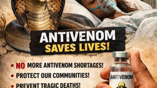 Snake Antivenom Access to all in Nigeria