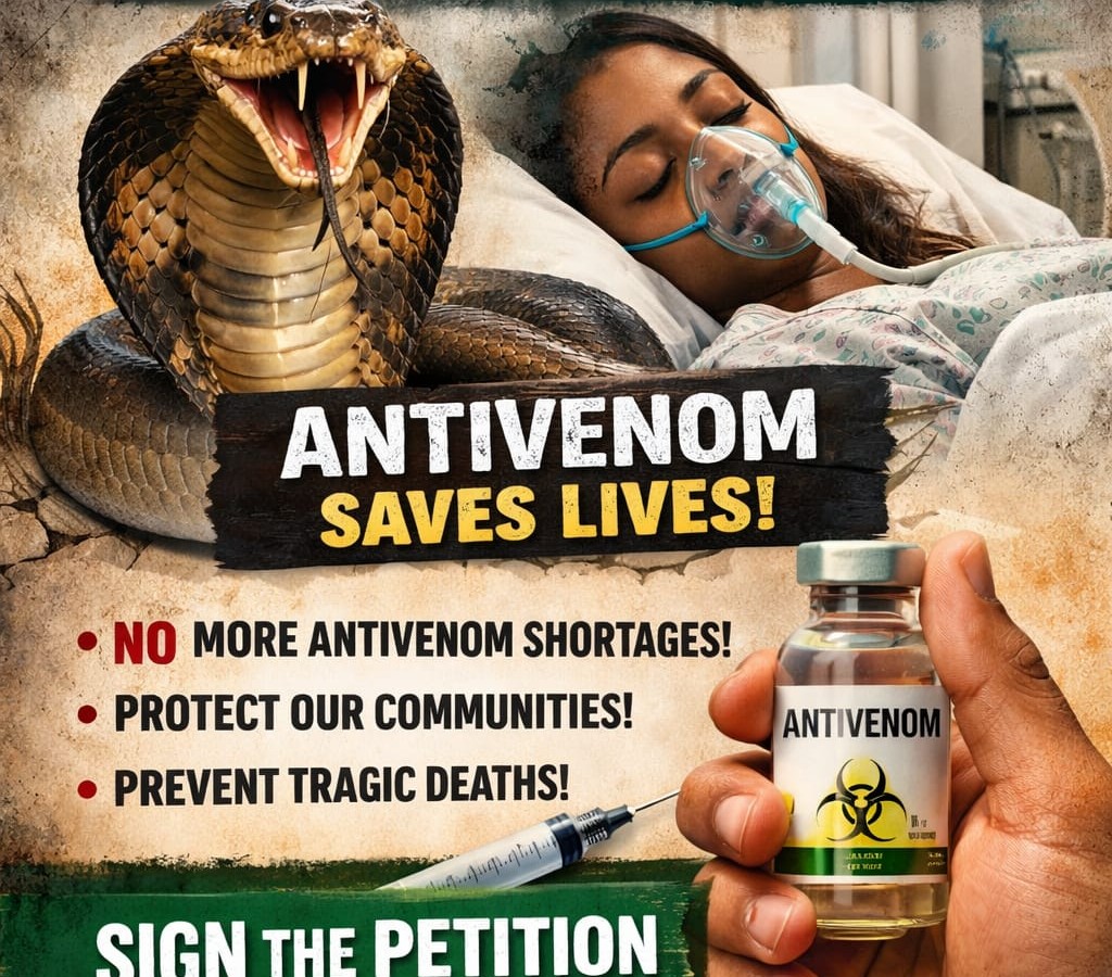 Justice for Ifunanya Nwagene, Ensure Life-Saving Antivenom Is Available in Every Nigerian Hospital